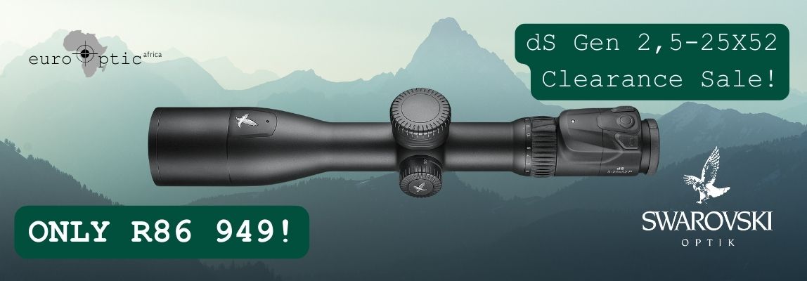 Swarovski dS Christmas sale, special deal on Swarovski